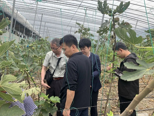 图片3_45288图片3